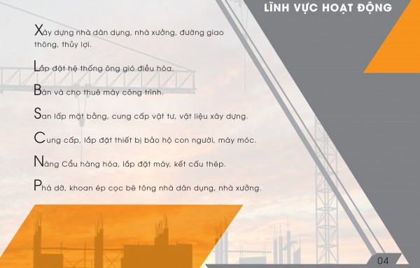 Lĩnh vực hoạt động